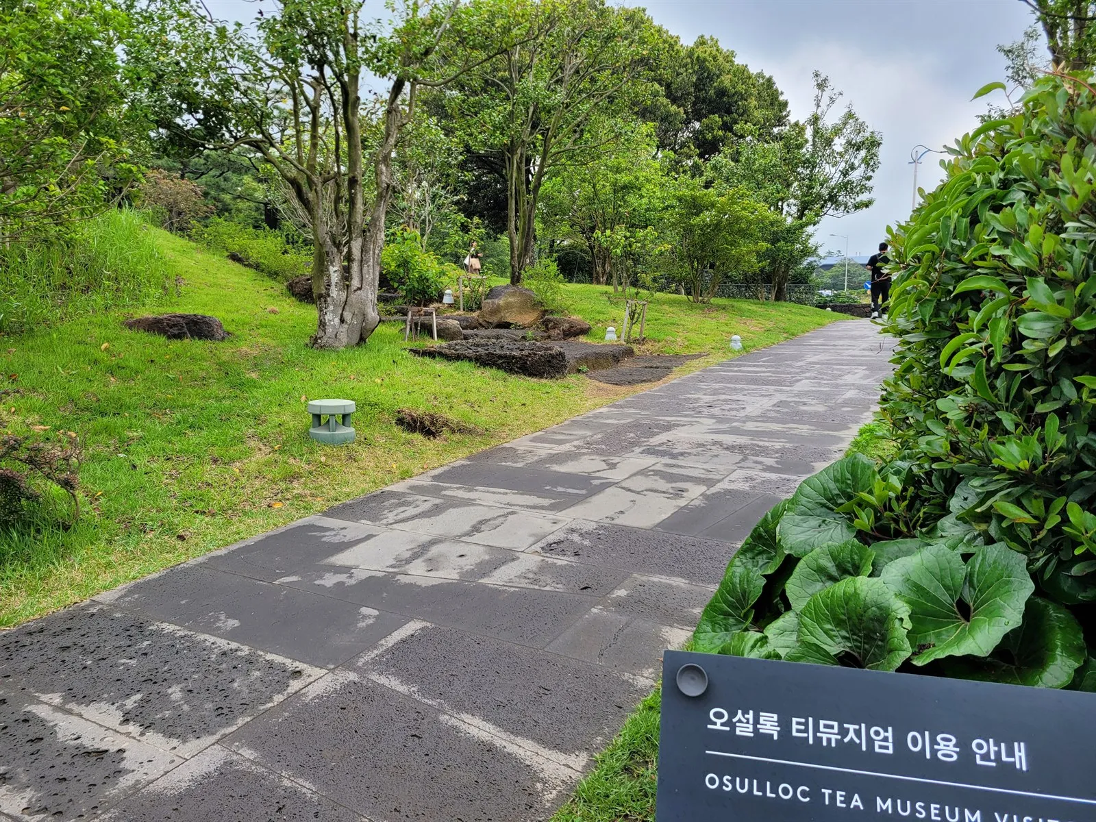 현무암을 깐 진입 산책로