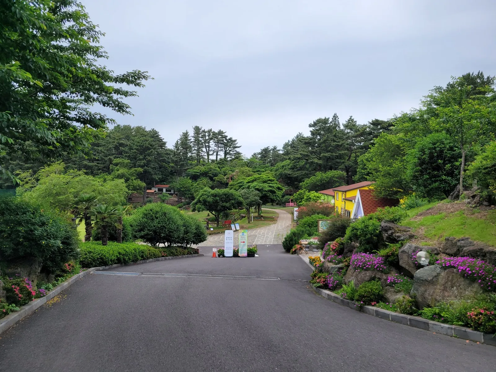 입구 진입로