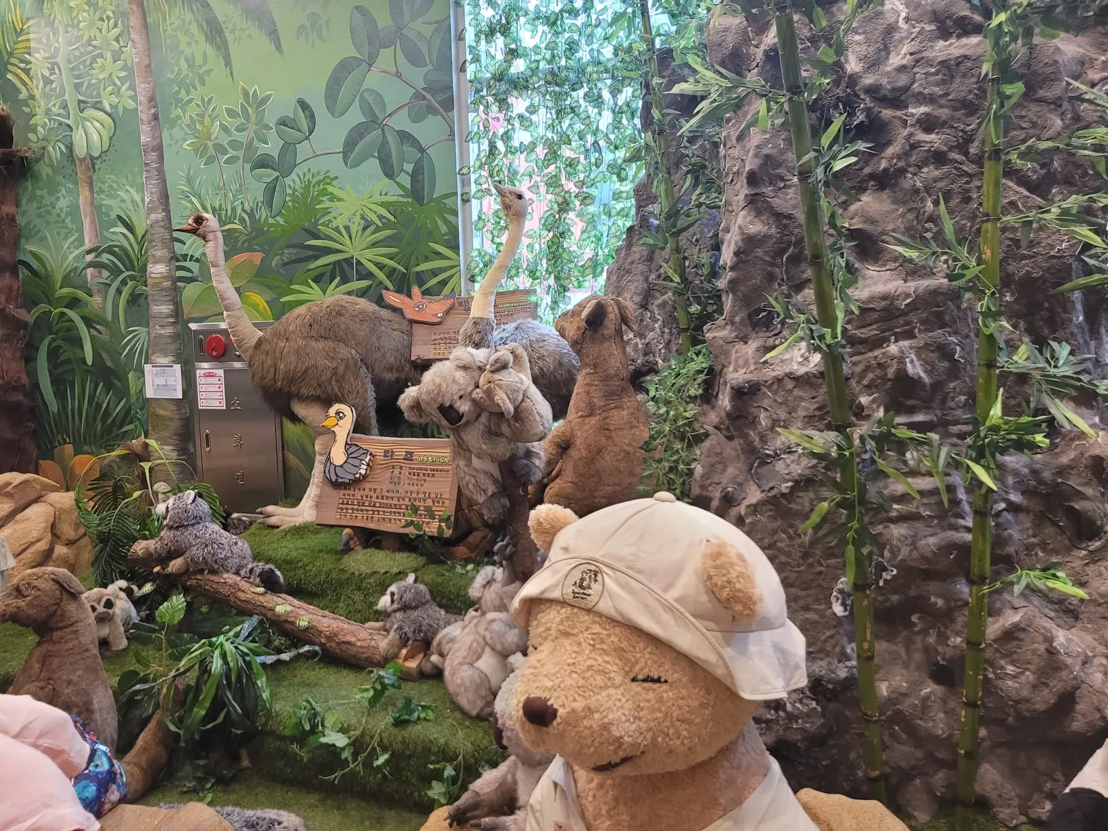 캥거루와 코알라, 모자 쓴 곰 인형