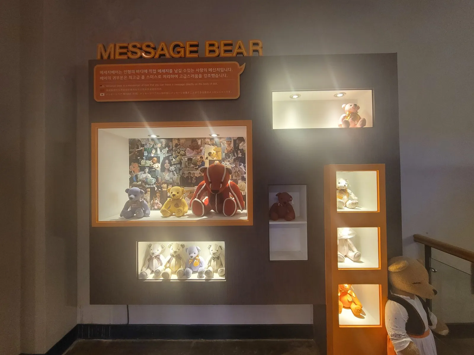 MESSAGE BEAR 전시 벽면