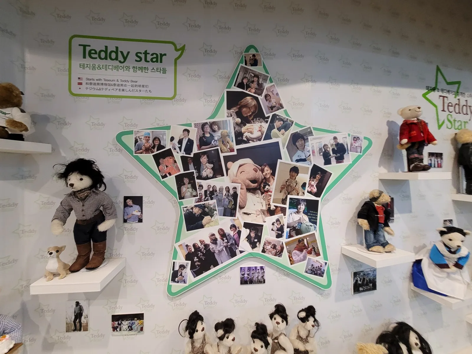 Teddy star 코너 — 별 모양 사진 콜라주