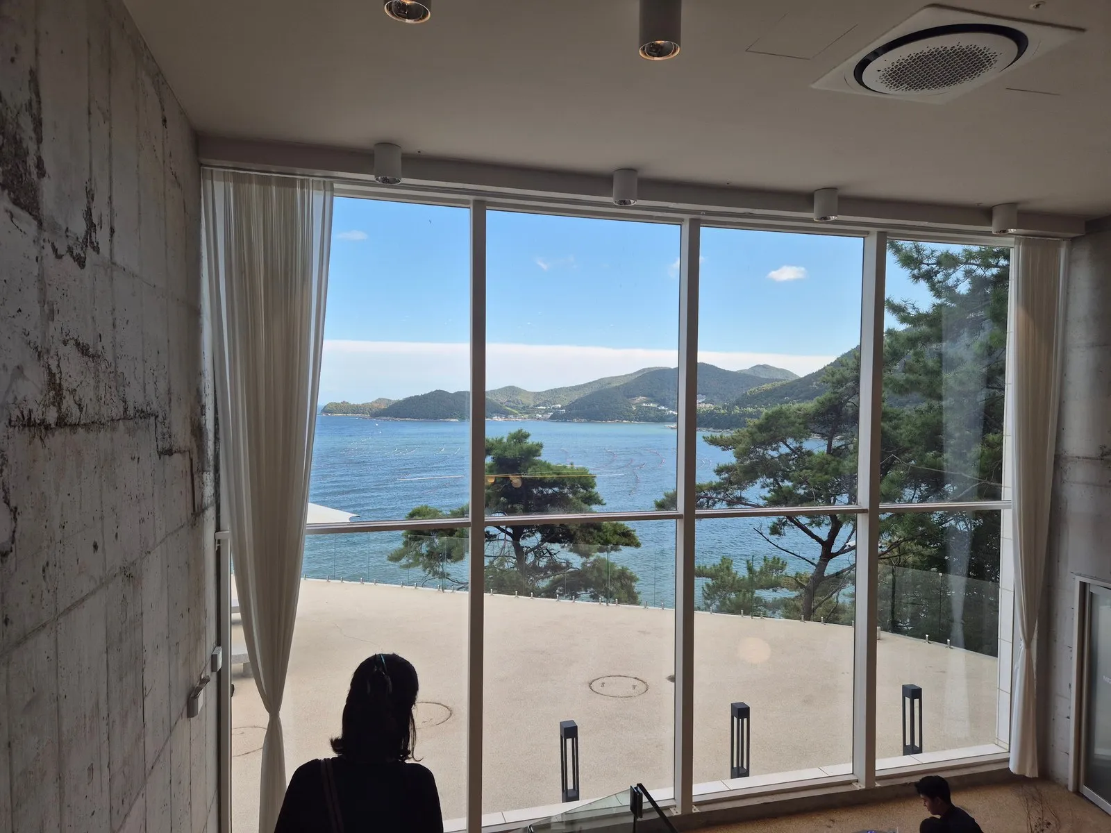 창가에서 본 바다와 소나무